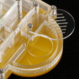 Maxbell Maxbell Pyramid Design Clear Ant Housing Acrylic Nest Ant Feed Farm Formicarium Box