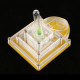 Maxbell Maxbell Pyramid Design Clear Ant Housing Acrylic Nest Ant Feed Farm Formicarium Box