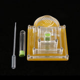 Maxbell Maxbell Pyramid Design Clear Ant Housing Acrylic Nest Ant Feed Farm Formicarium Box