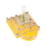Maxbell Maxbell Pyramid Design Clear Ant Housing Acrylic Nest Ant Feed Farm Formicarium Box