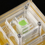 Maxbell Maxbell Pyramid Design Clear Ant Housing Acrylic Nest Ant Feed Farm Formicarium Box