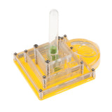 Maxbell Maxbell Pyramid Design Clear Ant Housing Acrylic Nest Ant Feed Farm Formicarium Box