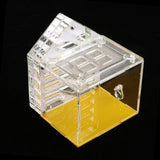 Maxbell Maxbell 1 Pc Acrylic Ant Feeding Box Housing Nest Ant Farm Castle Formicarium Box