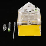 Maxbell Maxbell 1 Pc Acrylic Ant Feeding Box Housing Nest Ant Farm Castle Formicarium Box