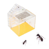 Maxbell Maxbell 1 Pc Acrylic Ant Feeding Box Housing Nest Ant Farm Castle Formicarium Box