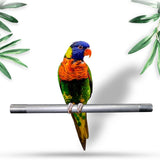 Maxbell Maxbell Stainless Steel Bird Parrot Standing Pole Canaries Finches Swing Cage Toys