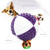 Maxbell Maxbell Indoor Dog Play Ball Toy Pet Interactive Ball Toy for Pet Dog Play Entertain