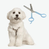 Maxbell Professional Pet Grooming Scissors Dog Cat Hair Trimming Shears 1 Pack Haircut Tool