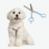 Maxbell Maxbell Professional Pet Grooming Scissors Dog Cat Hair Trimming Shears 1 Pack Haircut Tool
