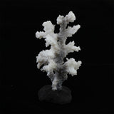 Maxbell Maxbell Glowing Coral Ornaments for Fish Tank Aquarium Decorations gray