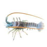 Maxbell Aquarium Decor Ornament Artificial Lobsters for Home Fish Tank Decor Green