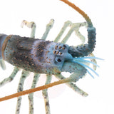 Maxbell Maxbell Aquarium Decor Ornament Artificial Lobsters for Home Fish Tank Decor Green