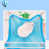 Maxbell Maxbell 2 Pack Small Pet Grid Hammock Toy Nest Hanging Bed Hamster Hammock  Blue