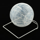 Maxbell Maxbell Hamster Multi-function Sports Fitness Bracket Running Ball Transparent