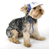 Maxbell Maxbell 1 Pc Pet Baseball Cap Summer Outdoor Sunbonnet Visor Cap for Cat Dog Blue XL