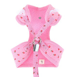 Maxbell Maxbell 1 Pc Breathable Adjustable Pet Harness Leash Set No Pull Padded Vest Pink M