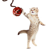 Maxbell Maxbell 2 Pack Cat Plush Ball Toys Pet Interactive Toys Cat Rope Toys  Wine Red