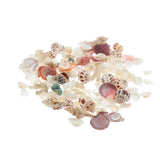 Maxbell Maxbell Natural Aquarium Fish Tank Decoration Simulation Sea Shells Conch Ornaments