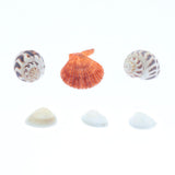 Maxbell Maxbell Natural Aquarium Fish Tank Decoration Simulation Sea Shells Conch Ornaments