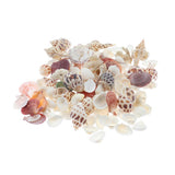 Maxbell Maxbell Natural Aquarium Fish Tank Decoration Simulation Sea Shells Conch Ornaments