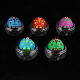 Maxbell Maxbell 5 Mini Portable Fish Tank Landscape DIY Bottle Fish Pendant Desktop Aquarium
