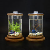 Maxbell Maxbell 1 Pc Creative Bamboo Glass Rotatable Aquarium Betta Fish Tank Desktop Decor