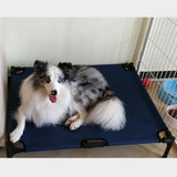 Maxbell Maxbell Pet Elevated Bed Portable Comfortable Raised Pet Cot for Pet Cat Dog  Blue