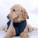 Maxbell Maxbell Dog Hip Support Harness Dog Lift Support Harness for Small to Medium Dog S
