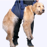 Maxbell Maxbell Dog Hip Support Harness Dog Lift Support Harness for Small to Medium Dog S