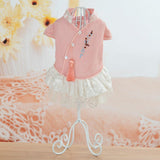 Maxbell Maxbell Pet Chinese Traditional Qipao Dress Clothes Dog Princess Dress  Pink M