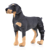 Maxbell 2 Pack Pet Auxiliary Belt  Dog Protective Joints Protector For Dog Puppy