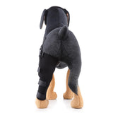 Maxbell 2 Pcs Pet Dog Auxiliary Belt Dog Protective Joints Protector For Dog Puppy