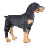 Maxbell 2 Pack Pet Auxiliary Belt  Dog Protective Joints Protector For Dog Puppy