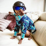 Maxbell Maxbell Pet Dog Puppy Sunglasses Anti-UV Sunglasses for Small Medium Dogs Blue