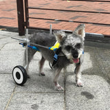 Maxbell Maxbell Pet Dog Wheelchair for Handicapped Hind Legs Small Medium Dog 2 Wheels XL