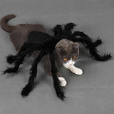 Maxbell 2pcs Funny Spider Style Pet Cat Dog Costume Clothes for Small Pet Cat Dog