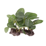 Maxbell 3pcs Resin Artifical Water Grass Plant For Reptile or Aquarium Tank Green