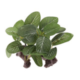 Maxbell 2pcs Resin Artifical Water Grass Plant For Reptile or Aquarium Tank Green