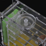 Maxbell 2pcs Clear Ant Feeding Nursery Box Ant Farm House Castle For Insect Ant