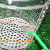 Maxbell Maxbell Bird Cage with Stand and Water Bowls for Small Parrot Parakeet Conure Macaws