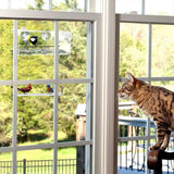 Maxbell Maxbell Window Bird Feeder w/Suction Cups Seed Tray For Wild Birds, Finch Parrots