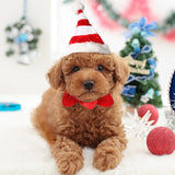 Maxbell Funny Pet Christmas Costume Decor For Small Cat Dog Puppy Christmas Hat