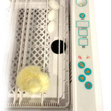 Maxbell 36 Egg Incubator Hatcher Digital Poultry Chickens Ducks Incubators UK Plug