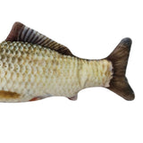 Maxbell Cat Feather Teaser Wand Stick & Fish Toy with Bell Interactive Play Toy