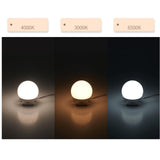 8xVanity  Style LED Mirror Lights Bulbs Kit Lamp Cosmetic 10 Bulbs