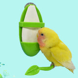 Maxbell 4xParrot Food Feeder No-Mess Plastic Hanging Bird Cage Feeder for Finch Canary
