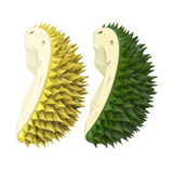 Massage Comb Pet Grooming Brush Removal Tool Scratcher Cats Self Groomer Green - Aladdin Shoppers