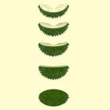 Massage Comb Pet Grooming Brush Removal Tool Scratcher Cats Self Groomer Green - Aladdin Shoppers