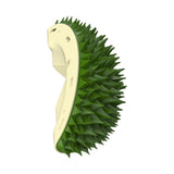Massage Comb Pet Grooming Brush Removal Tool Scratcher Cats Self Groomer Green - Aladdin Shoppers