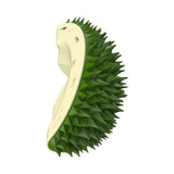 Massage Comb Pet Grooming Brush Removal Tool Scratcher Cats Self Groomer Green - Aladdin Shoppers